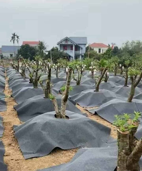Báo giá cuộn bạt phủ cỏ vải địa 0.5x200m